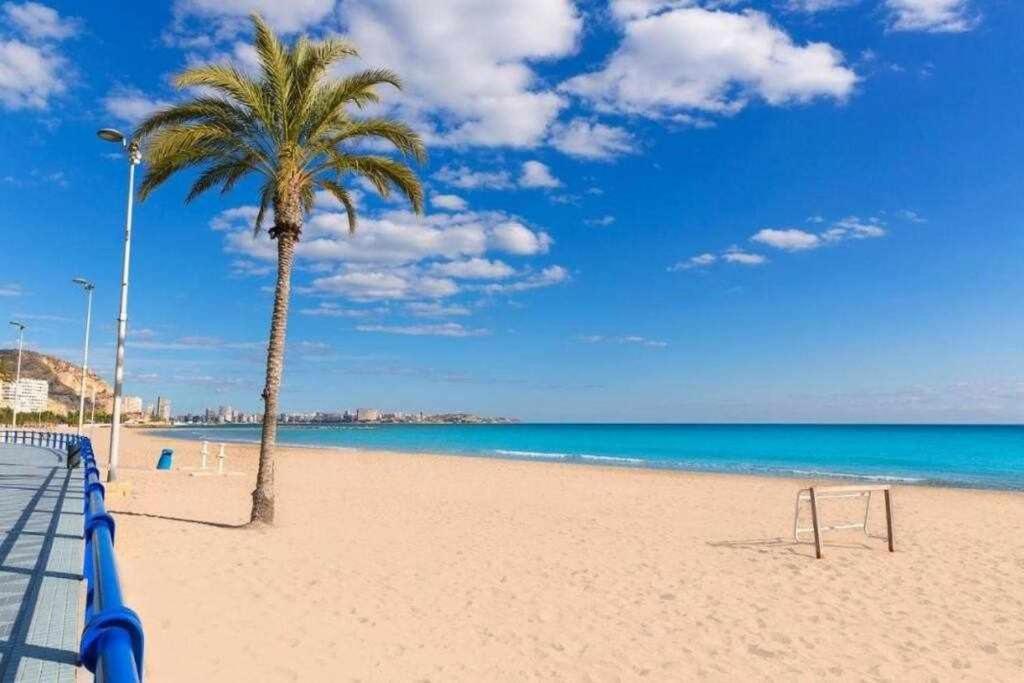 Casco Antiguo3 Minutos De La Playa Διαμέρισμα Αλικάντε Εξωτερικό φωτογραφία